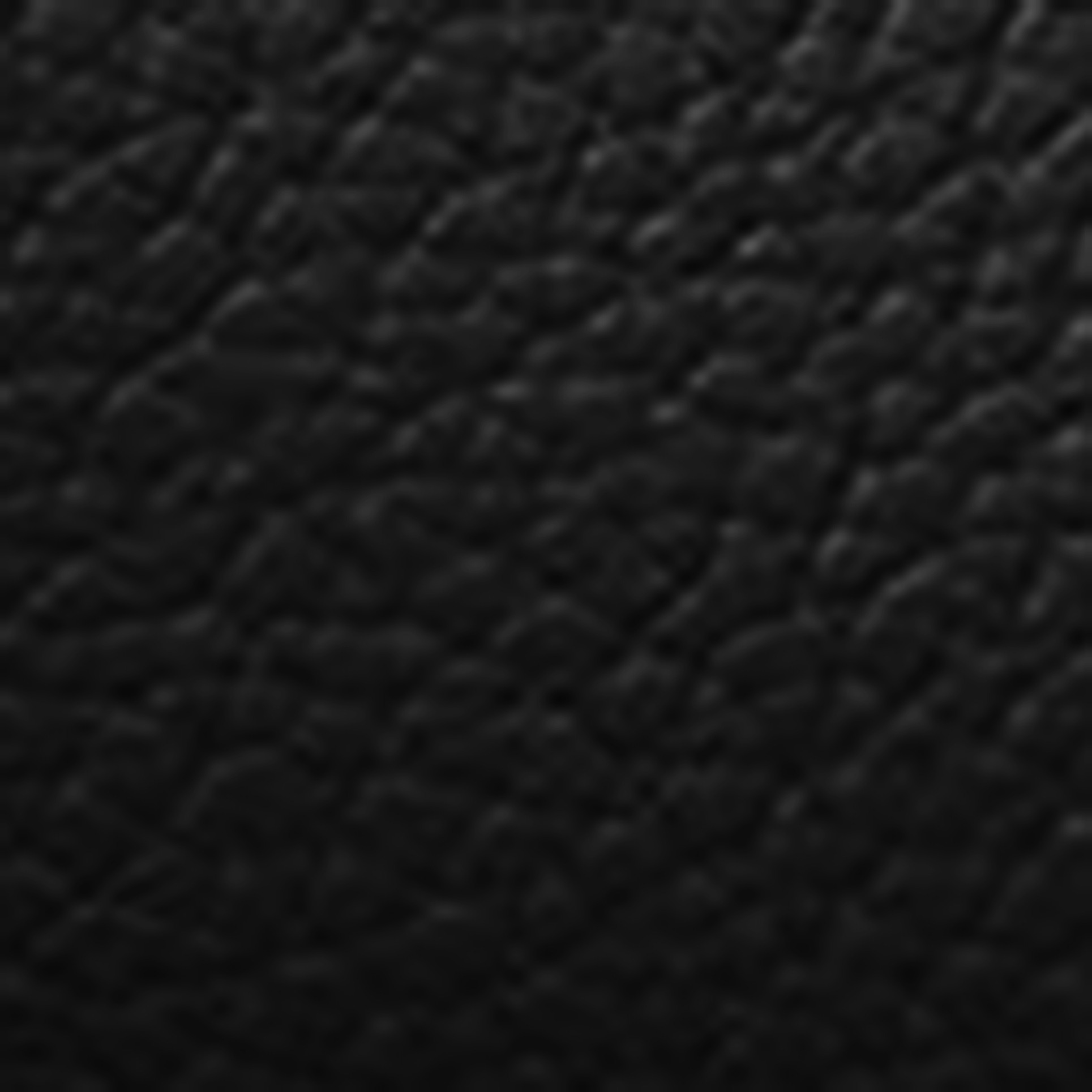 COCCINELLE 2DAYSIGNATURE 001 NERO - immagine 5